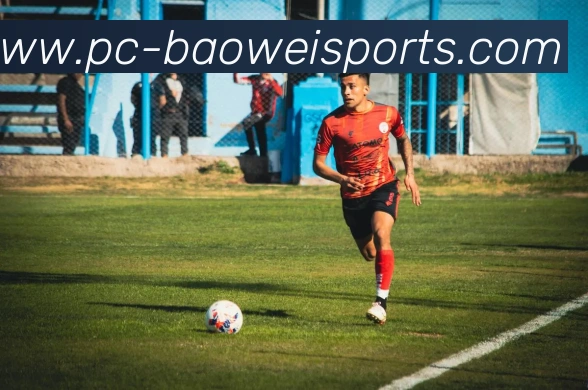 体育下注品牌故事